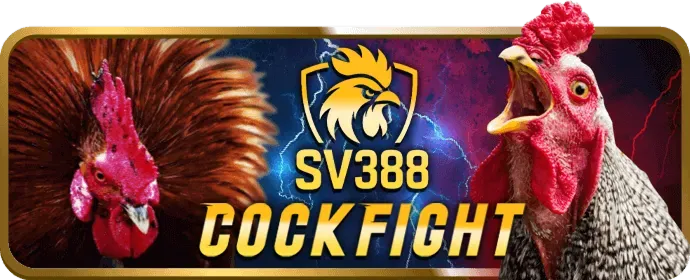 Hình ảnh tổng hợp các môn thể thao tennis, bóng chuyền, esports tại nex8 win