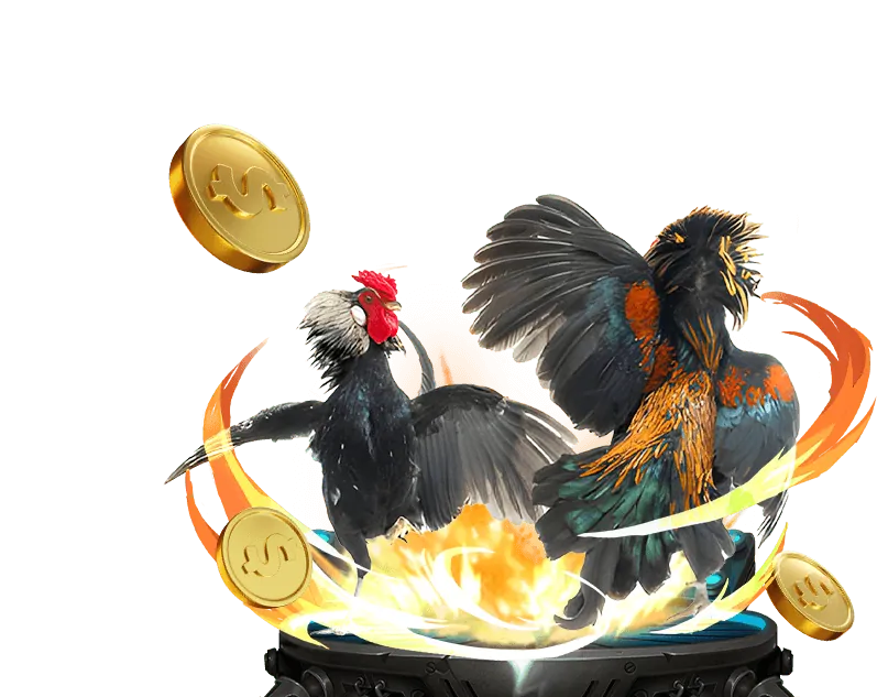 Hướng dẫn tham gia đá gà nex8 win